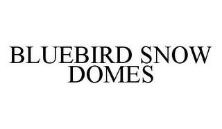 BLUEBIRD SNOW DOMES