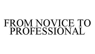 FROM NOVICE TO PROFESSIONAL