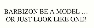 BARBIZON BE A MODEL...OR JUST LOOK LIKE ONE!