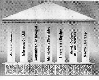AUTOCONCIENCIA INFORMACION UTIL COMUNICACION INTEGRAL MANEJO DE LA DIVERSIDAD SINERGIA DE EQUIPO MANEJO OPTIMO DE LOS RECURSOS NUEVO LIDERAZGO