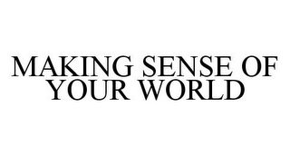 MAKING SENSE OF YOUR WORLD