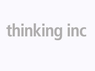 THINKING INC