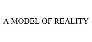 A MODEL OF REALITY