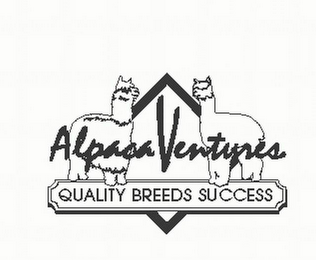ALPACA VENTURES AND QUALITY BREEDS SUCCESS