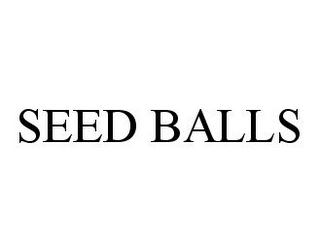 SEED BALLS