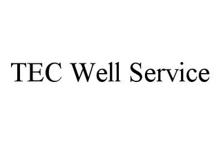 TEC WELL SERVICE