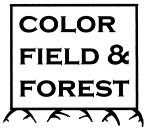 COLOR FIELD & FOREST