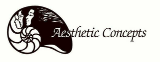 AESTHETIC CONCEPTS