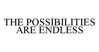 THE POSSIBILITIES ARE ENDLESS