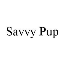 SAVVY PUP