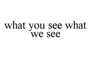 WHAT YOU SEE WHAT WE SEE