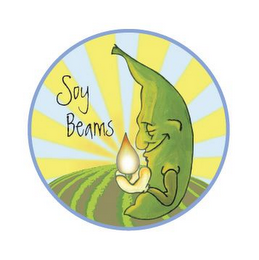 SOY BEAMS