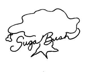 SUGA BUSH