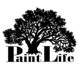 PAINTLIFE