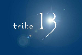 TRIBE 13