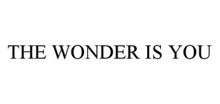 THE WONDER IS YOU