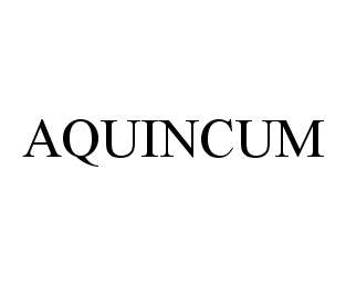 AQUINCUM