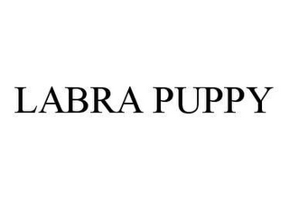 LABRA PUPPY