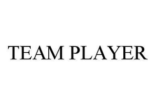 TEAM PLAYER