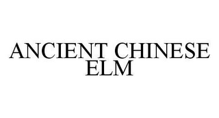 ANCIENT CHINESE ELM
