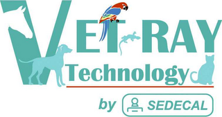 VET-RAY TECHNOLOGY BY SEDECAL