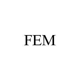 FEM