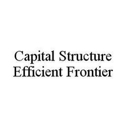 CAPITAL STRUCTURE EFFICIENT FRONTIER