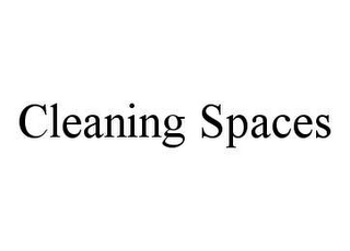 CLEANING SPACES