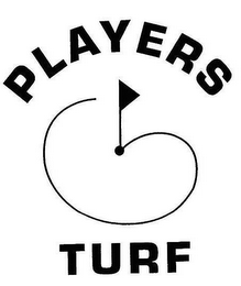 PLAYERS TURF