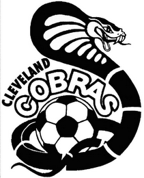 CLEVELAND COBRAS