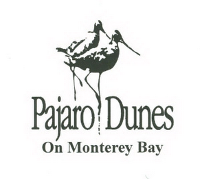 PAJARO DUNES ON MONTEREY BAY