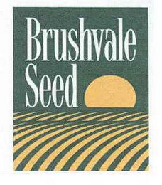 BRUSHVALE SEED