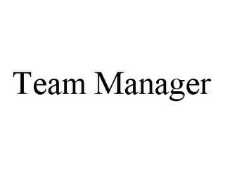 TEAM MANAGER