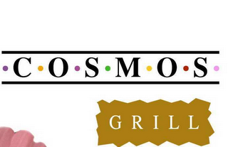 COSMOS GRILL