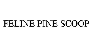 FELINE PINE SCOOP