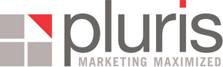 PLURIS MARKETING MAXIMIZED