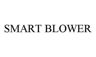 SMART BLOWER