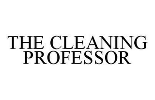 THE CLEANING PROFESSOR