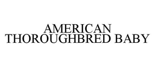 AMERICAN THOROUGHBRED BABY