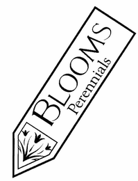 BLOOMS PERENNIALS