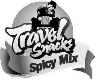 TRAVEL SNACKS SPICY MIX