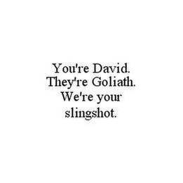 YOU'RE DAVID. THEY'RE GOLIATH. WE'RE YOUR SLINGSHOT.