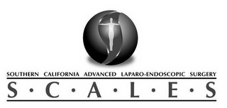 SOUTHERN CALIFORNIA ADVANCED LAPARO-ENDOSCOPIC SURGERY SCALES