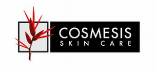 COSMESIS SKIN CARE