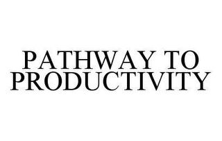 PATHWAY TO PRODUCTIVITY