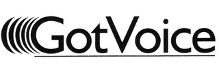 GOTVOICE