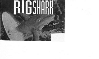 RIG SHARK