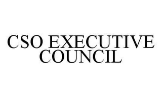 CSO EXECUTIVE COUNCIL