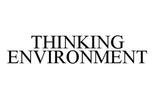 THINKING ENVIRONMENT