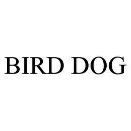 BIRD DOG